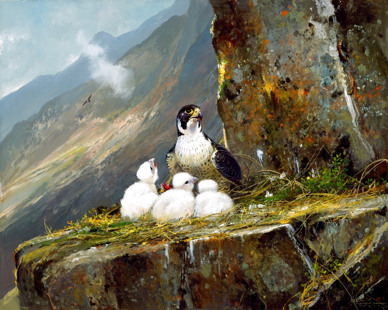 High Cliff - Peregrine Family Limited Edition Print by Michael Coleman