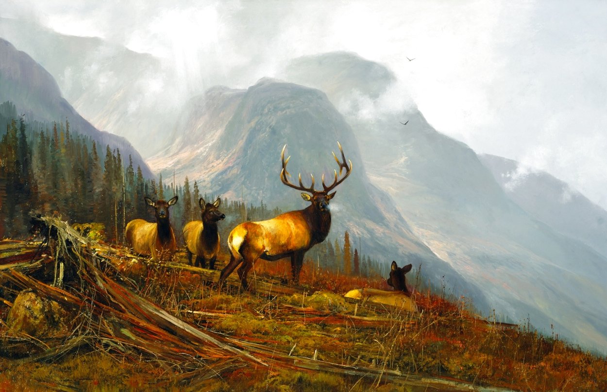 In the Book Cliffs (Elk) - Huge Limited Edition Print by Michael Coleman