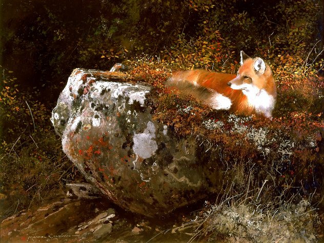 Morning Sun - Red Fox Limited Edition Print by Michael Coleman