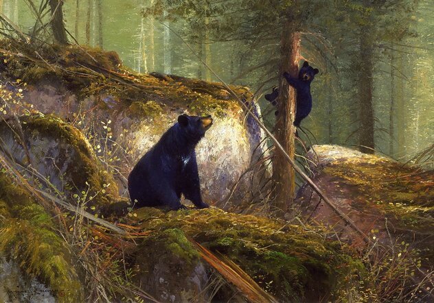 Adventure - Black Bears - Framed Giclee on Canvas Limited Edition Print by Michael Coleman Adventure - Black Bears - Framed Giclee on Canvas Limited Edition Print by Michael Coleman