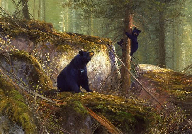 Adventure - Black Bears Limited Edition Print by Michael Coleman