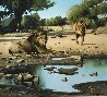 Lion Kill At Shitake Springs 30x32 - Africa Original Painting by Craig Bone - 0