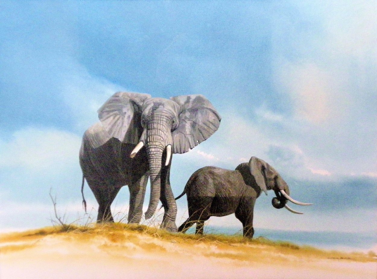 Untitled (Elephants) Watercolor 1995 26x32 Watercolor by Craig Bone