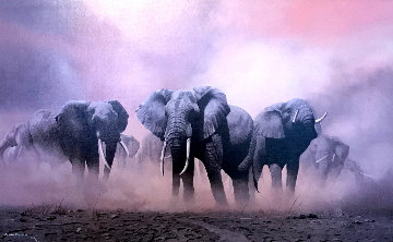 Ghost Of The Etosha 1997 Limited Edition Print - Craig Bone Ghost Of The Etosha 1997 Limited Edition Print - Craig Bone