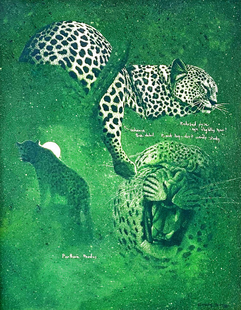 Untitled - Cheetah Studies 33x27 Works on Paper (not prints) by Craig Bone