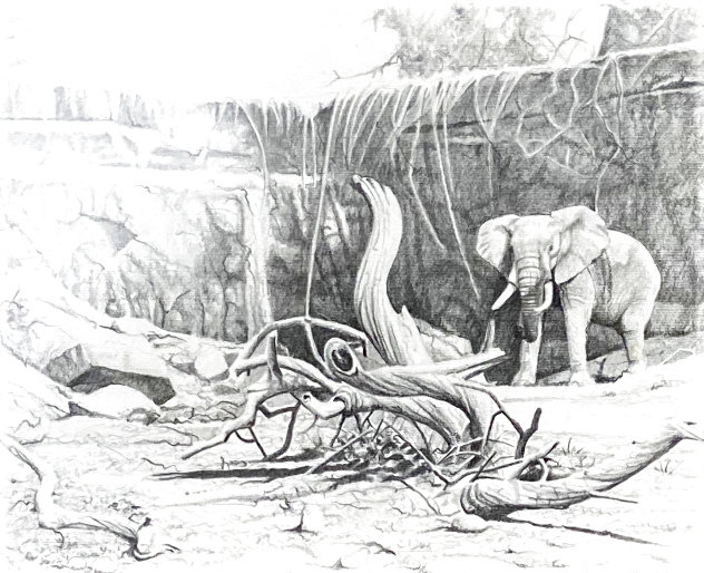 Untitled - Elephant Study 20x24 Drawing by Craig Bone