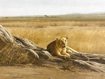 Untitled African Landscape 50x35 - Huge Original Painting - Craig Bone