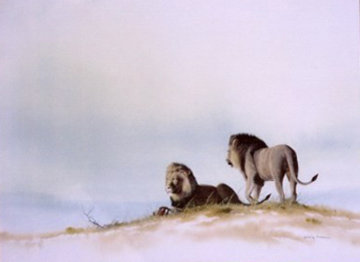 Two Male Lions Watercolor 1995 17x21 Watercolor - Craig Bone
