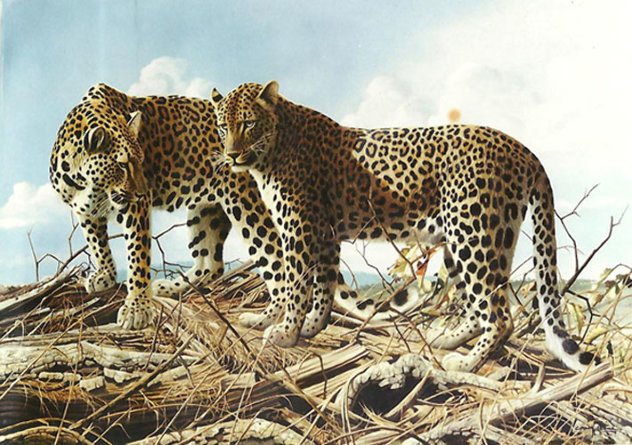 Leopard Lovers At Chitake Springs 1995 35x47 Original Painting by Craig Bone