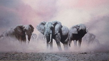 Ghosts of Etosha Limited Edition Print - Craig Bone Ghosts of Etosha Limited Edition Print - Craig Bone