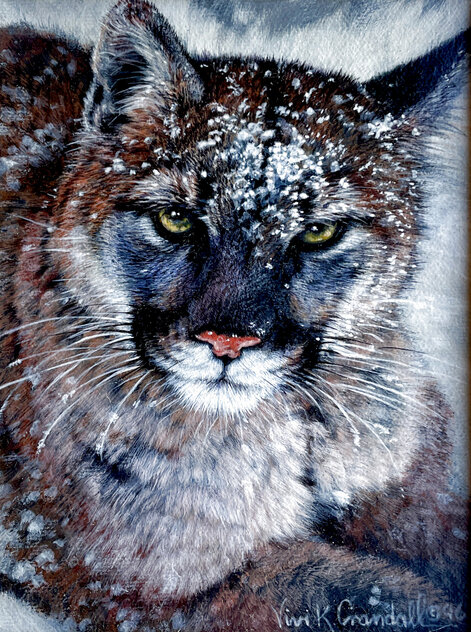 Untitled Cougar Portrait 1996 Acrylic on Canvas by Vivi Crandall