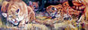Spit Shine and Danger Zone Diptych 1993 Limited Edition Print by Vivi Crandall - 4 Spit Shine and Danger Zone Diptych 1993 Limited Edition Print by Vivi Crandall - 4