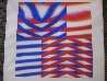 Induction Chromatique (Red/Blue) 1979 Limited Edition Print by Carlos Cruz-Diez - 1