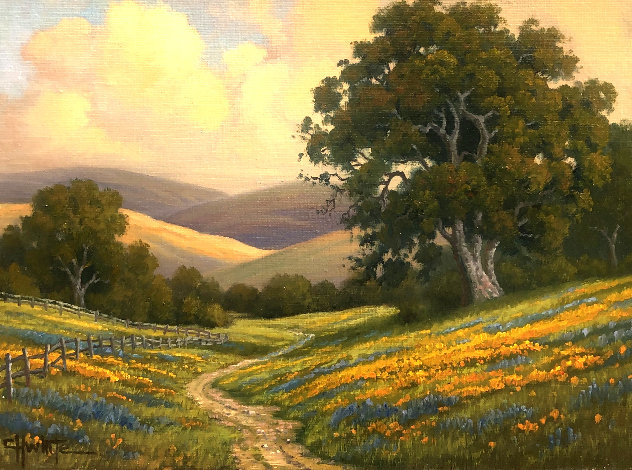 Poppyfield Evening 2010 19x23 Original Painting by Charles White