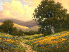Poppyfield Evening 2010 19x23 Original Painting by Charles White - 0