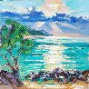 Sunset at Baldwin Beach 2022 17x17 - Maui, Hawaii Original Painting by Roman Czerwinski - 1