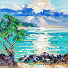 Sunset at Baldwin Beach 2022 17x17 - Maui, Hawaii Original Painting by Roman Czerwinski - 0