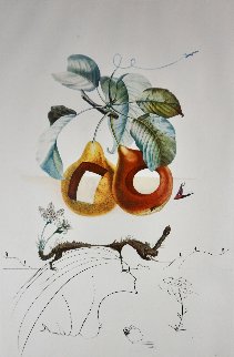 Flordali / Les Fruits Fruit With Holes 1969 Limited Edition Print - Salvador Dali
