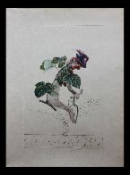 Framboisier (Raspberry) 1969 (Early) Limited Edition Print by Salvador Dali - 1 Framboisier (Raspberry) 1969 (Early) Limited Edition Print by Salvador Dali - 1