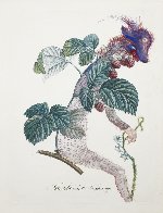 Framboisier (Raspberry) 1969 (Early) Limited Edition Print by Salvador Dali - 0 Framboisier (Raspberry) 1969 (Early) Limited Edition Print by Salvador Dali - 0
