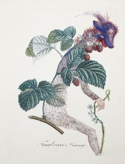 Framboisier (Raspberry) 1969 (Early) Limited Edition Print - Salvador Dali Framboisier (Raspberry) 1969 (Early) Limited Edition Print - Salvador Dali