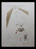 Transfiguration 1973 Limited Edition Print by Salvador Dali - 1 Transfiguration 1973 Limited Edition Print by Salvador Dali - 1