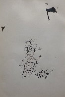 Original Drawing, From the Book on the Verge By Maurice Sandoz 1951 (Early) Drawing by Salvador Dali - 1 Original Drawing, From the Book on the Verge By Maurice Sandoz 1951 (Early) Drawing by Salvador Dali - 1