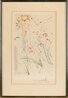 Beloved Feeds Among the Lillies 1971 HS Limited Edition Print by Salvador Dali - 2 Beloved Feeds Among the Lillies 1971 HS Limited Edition Print by Salvador Dali - 2