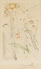 Beloved Feeds Among the Lillies 1971 HS Limited Edition Print by Salvador Dali - 1 Beloved Feeds Among the Lillies 1971 HS Limited Edition Print by Salvador Dali - 1
