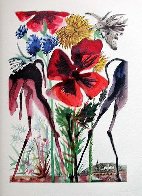 Le Tricorne, Complete Suite of 20 1959 (Very Early) Limited Edition Print by Salvador Dali - 23 Le Tricorne, Complete Suite of 20 1959 (Very Early) Limited Edition Print by Salvador Dali - 23