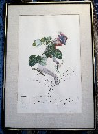 Framboisier (Raspberry) 1969 (Early) Limited Edition Print by Salvador Dali - 1 Framboisier (Raspberry) 1969 (Early) Limited Edition Print by Salvador Dali - 1