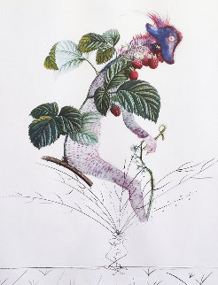 Framboisier (Raspberry) 1969 (Early) Limited Edition Print - Salvador Dali Framboisier (Raspberry) 1969 (Early) Limited Edition Print - Salvador Dali