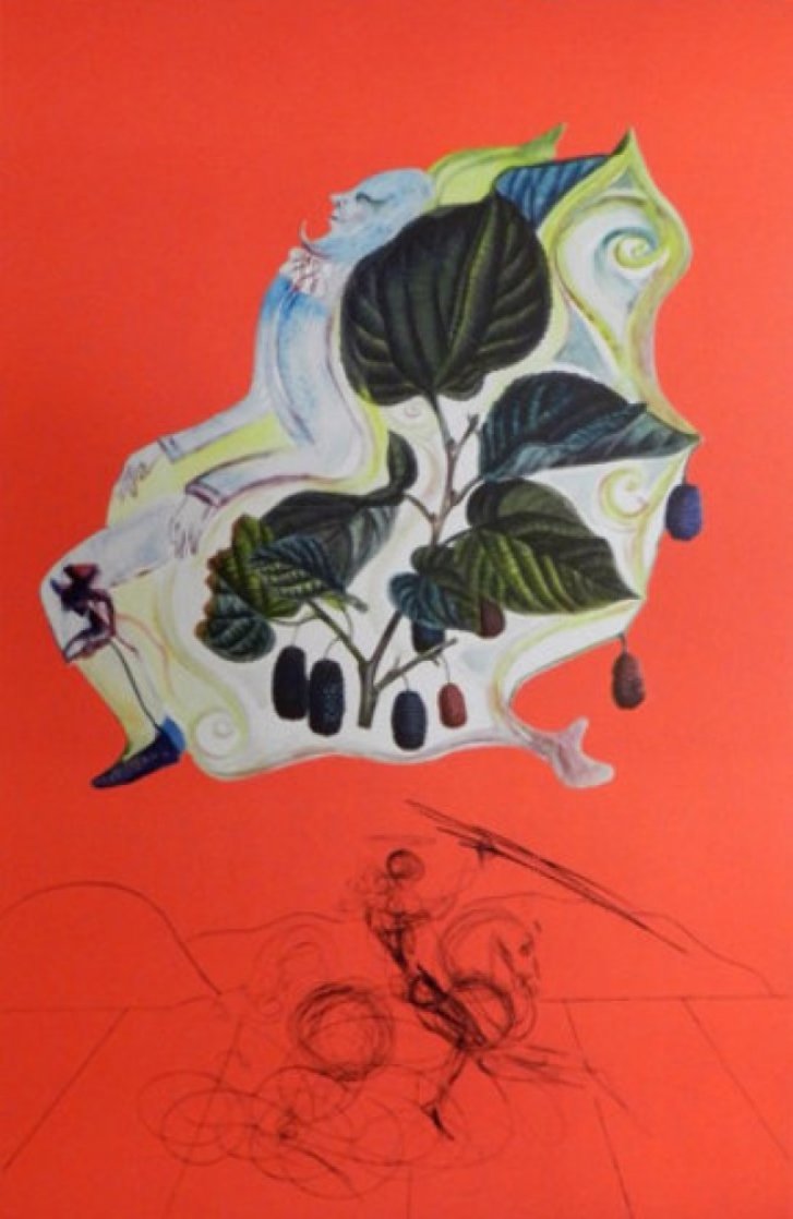 Fruits Blackberries 1970 Limited Edition Print by Salvador Dali Fruits Blackberries 1970 Limited Edition Print by Salvador Dali