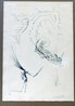 Tristan Et Le Dragon   1970 HS Limited Edition Print by Salvador Dali - 2