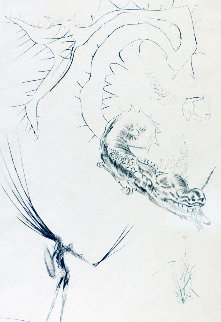 Tristan Et Le Dragon   1970 Limited Edition Print by Salvador Dali