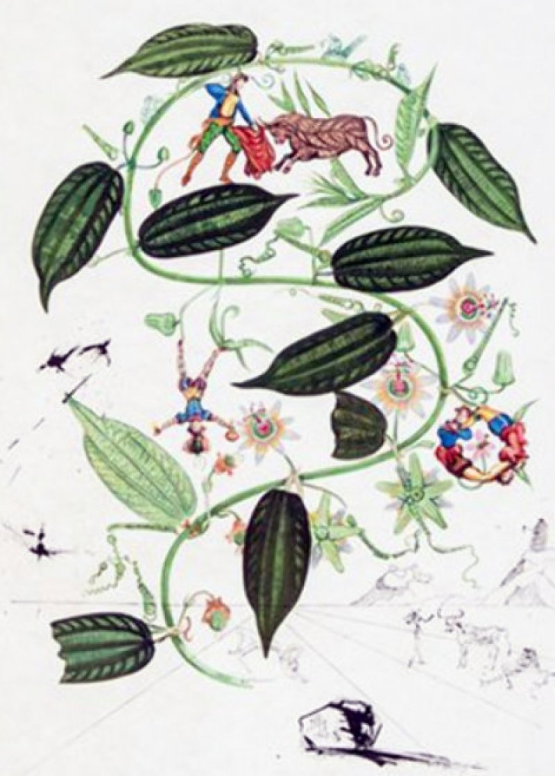 Flora Dalinae: Passiflora Laurigera 1964 (Early) Limited Edition Print by Salvador Dali