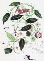Flora Dalinae: Passiflora Laurigera 1964 ( Early) Limited Edition Print by Salvador Dali - 0 Flora Dalinae: Passiflora Laurigera 1964 ( Early) Limited Edition Print by Salvador Dali - 0