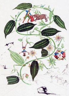 Flora Dalinae: Passiflora Laurigera 1964 (Early) Limited Edition Print - Salvador Dali Flora Dalinae: Passiflora Laurigera 1964 (Early) Limited Edition Print - Salvador Dali