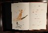 Alices Adventures in Wonderland, Book With 12 Heliogravures And 1 Etching 1969 Limited Edition Print by Salvador Dali - 11
