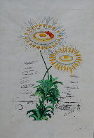 Flora Dalinae Chrysanthemum (Early) 1968 Limited Edition Print by Salvador Dali - 2 Flora Dalinae Chrysanthemum (Early) 1968 Limited Edition Print by Salvador Dali - 2