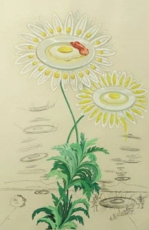 Flora Dalinae Chrysanthemum (Early) 1968 Limited Edition Print - Salvador Dali