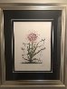 Cactus (Les Bequilles) 1972 (Early) Limited Edition Print by Salvador Dali - 1