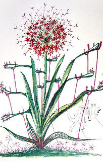 Cactus (Les Bequilles) 1972 ( (Early) Limited Edition Print - Salvador Dali Cactus (Les Bequilles) 1972 ( (Early) Limited Edition Print - Salvador Dali