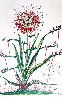 Cactus (Les Bequilles) 1972 (Early) Limited Edition Print by Salvador Dali - 0