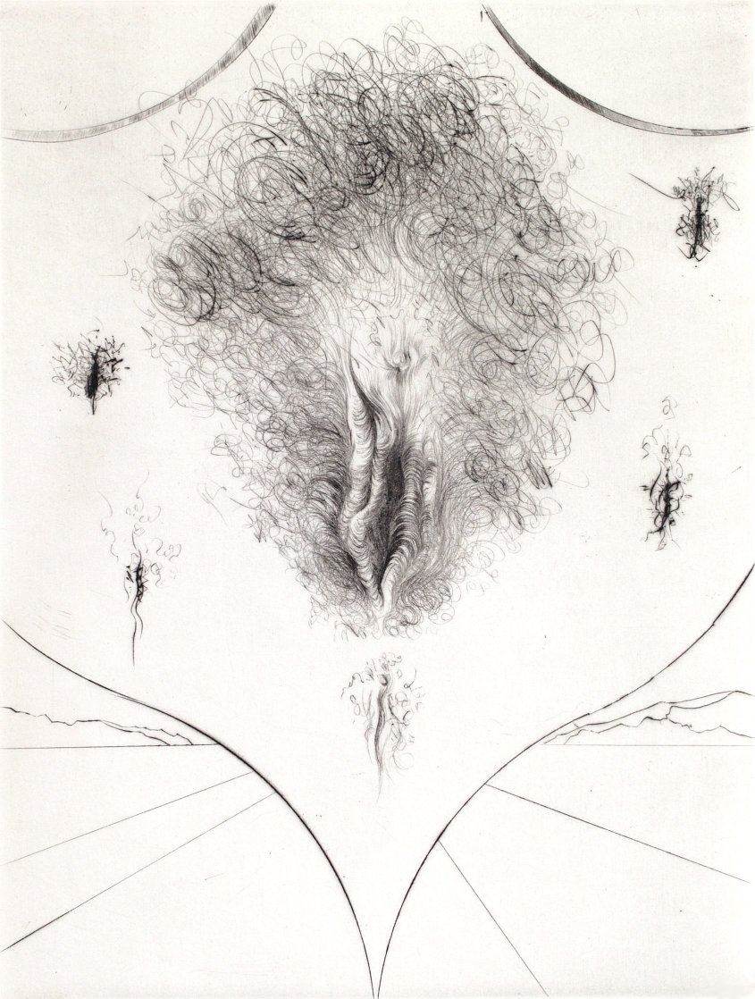 Sexe 1972 ( Vulva) Limited Edition Print by Salvador Dali