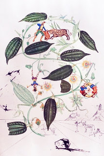 Flora Dalinae Passionflower 1968 Limited Edition Print - Salvador Dali Flora Dalinae Passionflower 1968 Limited Edition Print - Salvador Dali