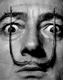 Dali’s Mustache Photo by Phillipe Halsman Limited Edition Print - Salvador Dali Dali’s Mustache Photo by Phillipe Halsman Limited Edition Print - Salvador Dali