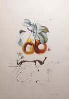 Flordali Les Fruits: Fruit With Holes  Limited Edition Print by Salvador Dali - 1