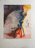 Tauramachie #3 1968 (Early) HS Limited Edition Print by Salvador Dali - 1