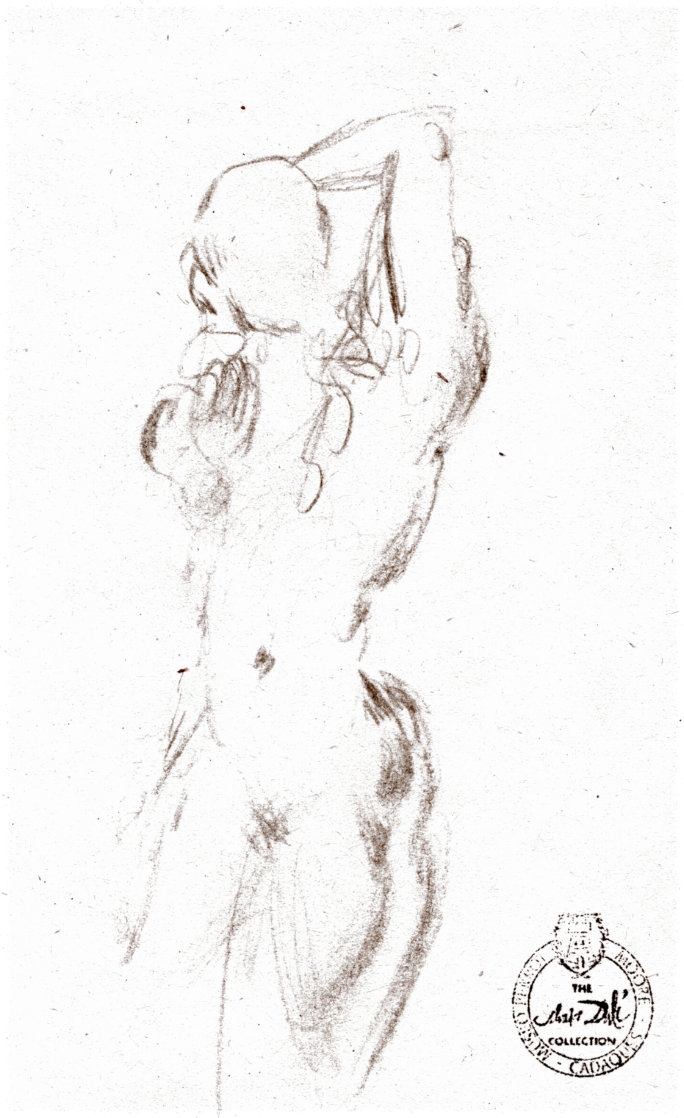 Etude Nu Féminin Du Face Drawing 1963 8x5 Drawing by Salvador Dali